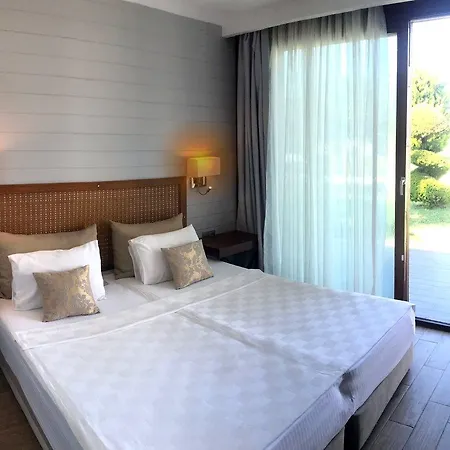 Risus 5* Κουσάντασι