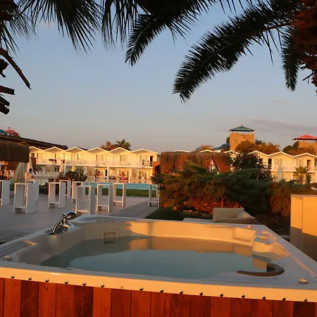 Risus Kusadası