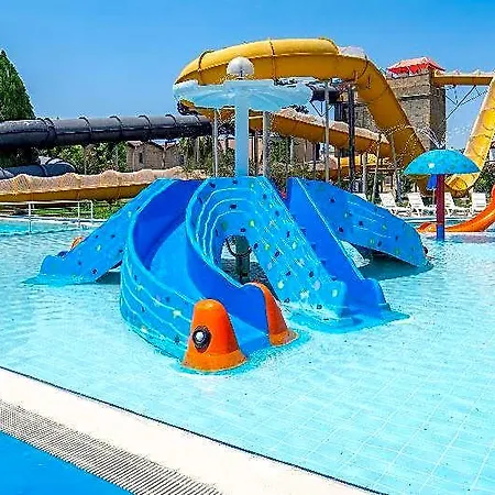 Risus Kusadası
