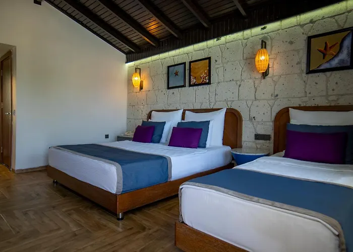Risus Hotel 5*