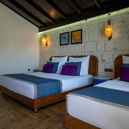 Risus Hotell 5*