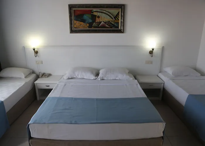 Risus Kusadası